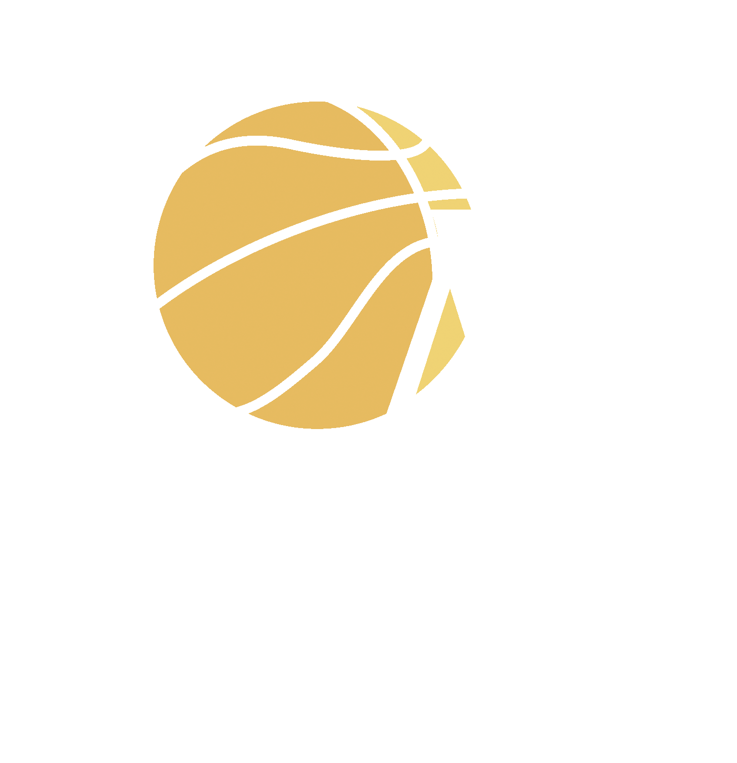 PABLO LASO ACADEMY