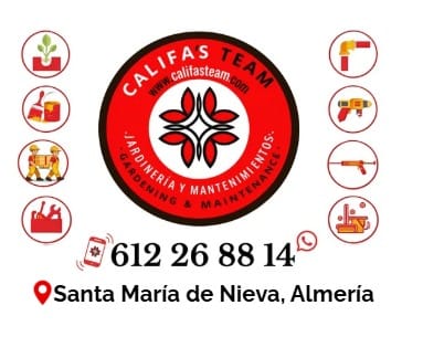 https://api.clupik.com/clubs/12919/sponsor/image/36846