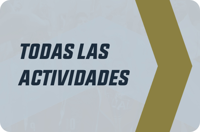 Actividades
