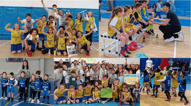 https://api.clupik.com/clubs/203/inscriptions/image/27324?format=thumbnail