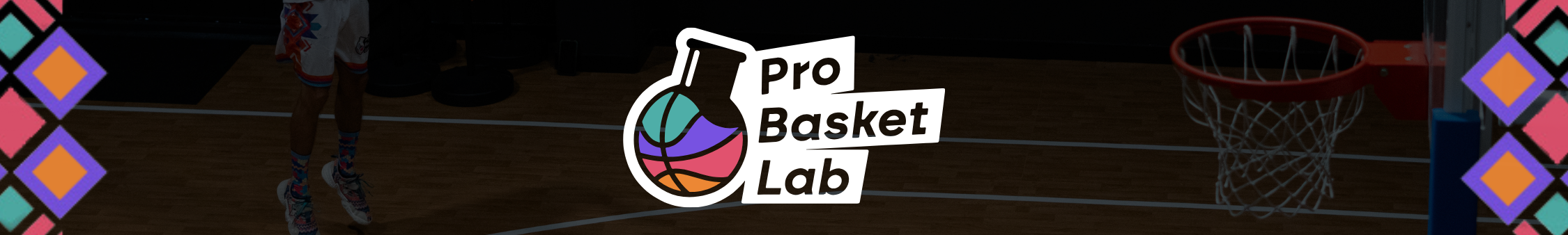 ProBasketLab
