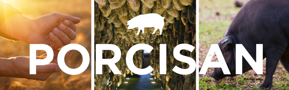 PORCISAN