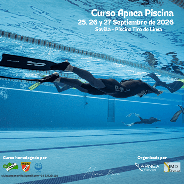 https://api.clupik.com/clubs/30631/inscriptions/image/26948?format=thumbnail