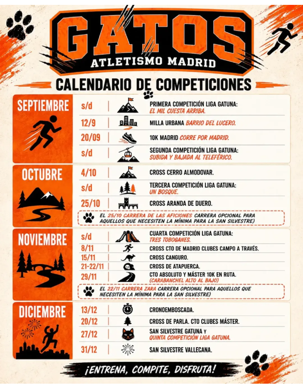 Competiciones