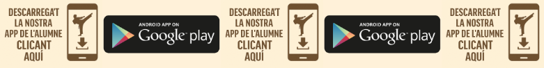 Descarrega l'APP Google