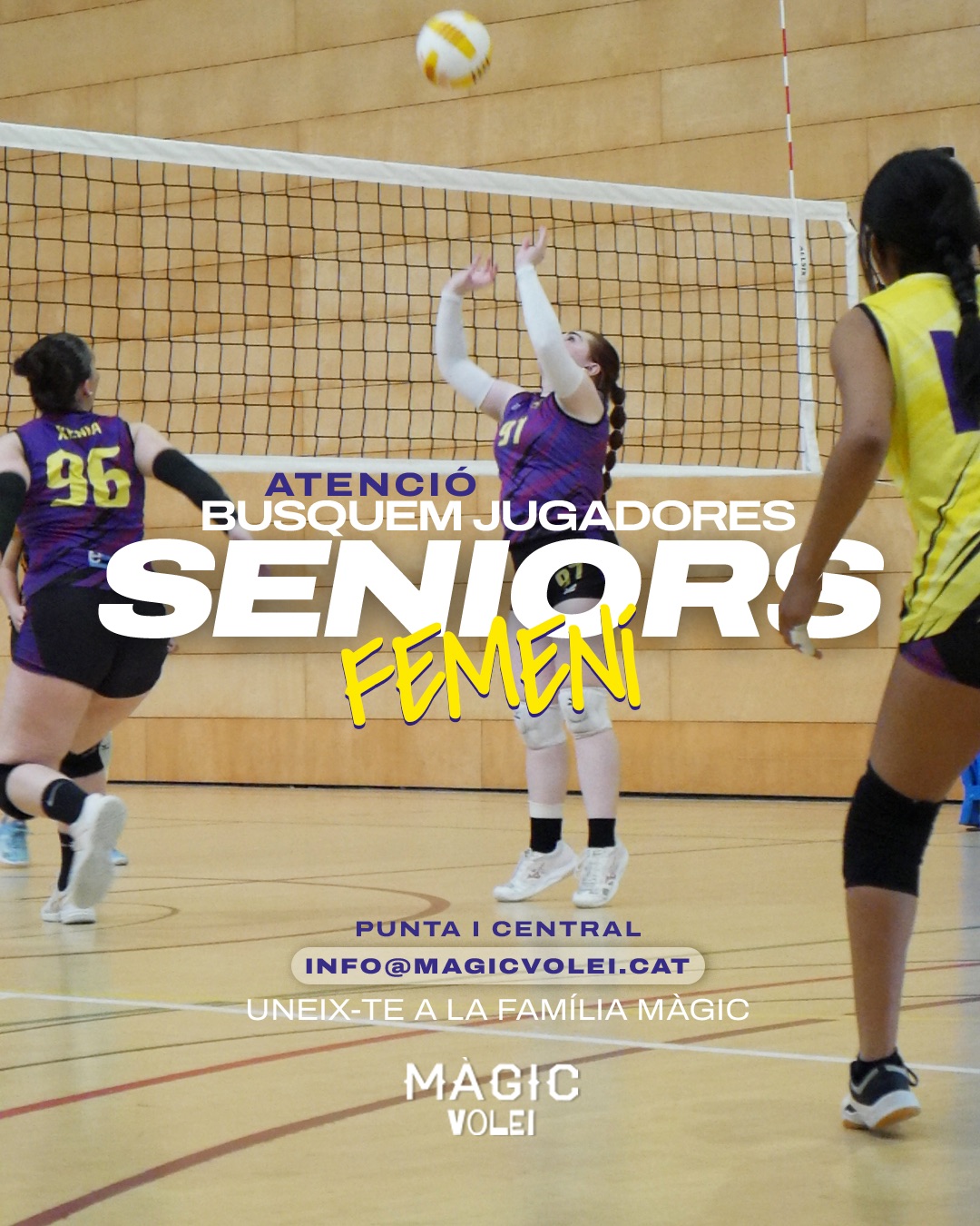 Busquem senior fem 25-26