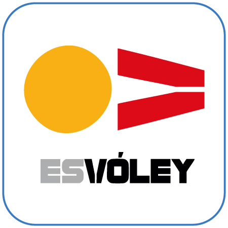 Real Federación Española de Voleibol
