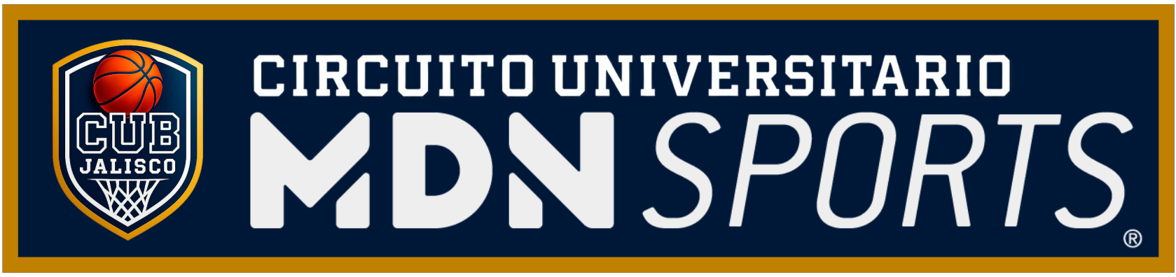 Logo Banner MDN Sports