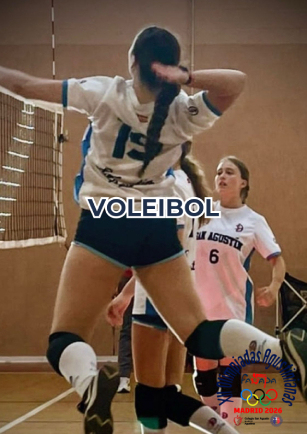 Voleibol