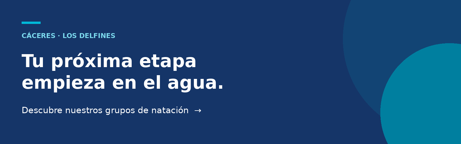 Descubre nuestros grupos de natación