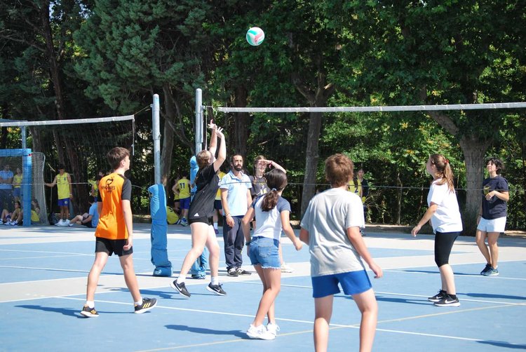 https://api.clupik.com/clubs/61/inscriptions/image/24683?format=medium