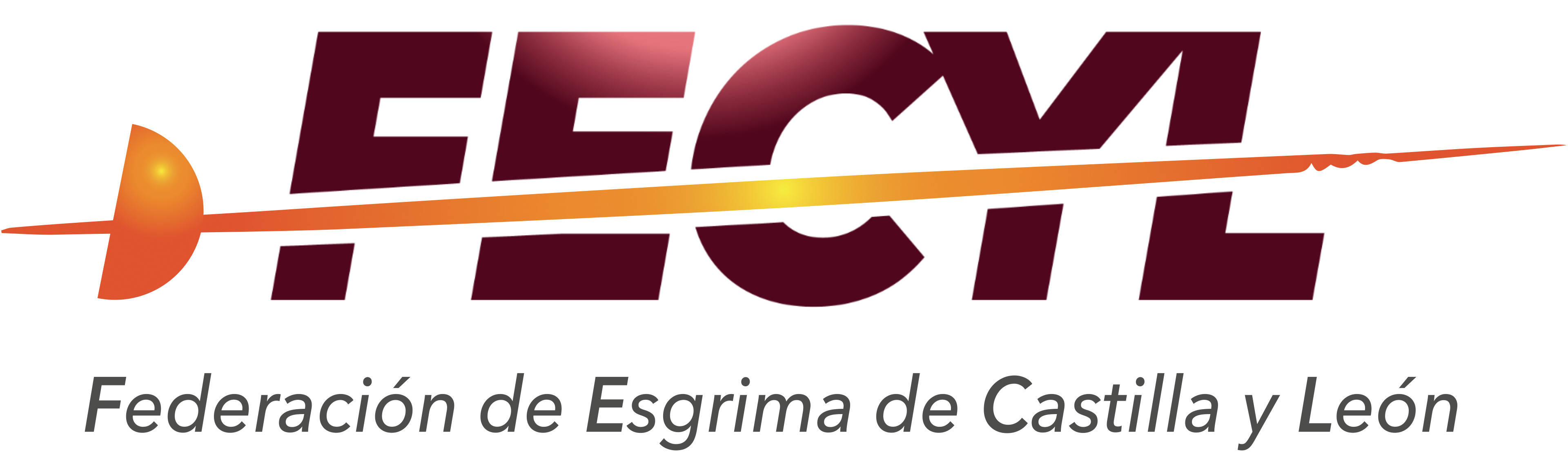 FEDERACION DE ESGRIMA DE CASTILLA Y LEÓN