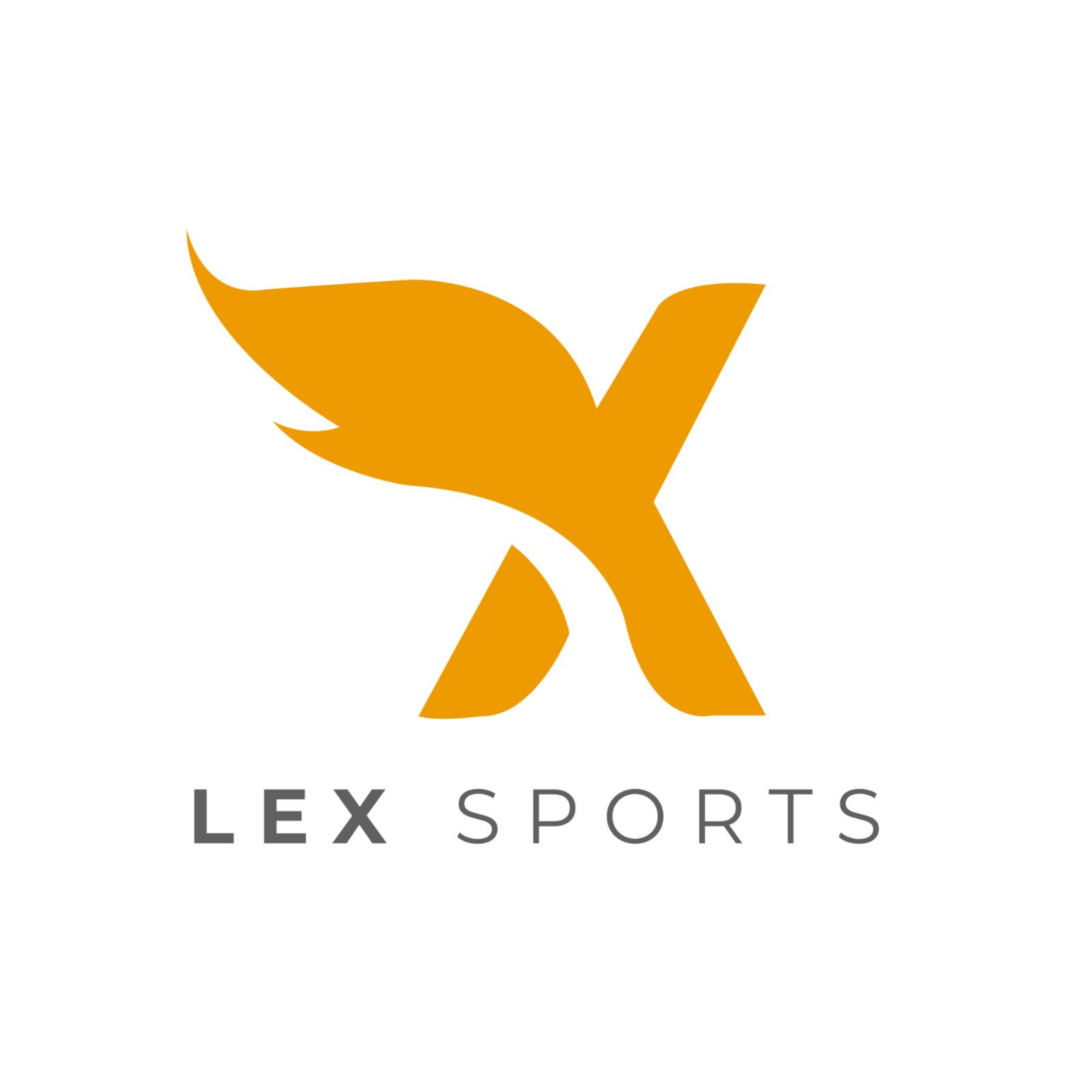 https://api.clupik.com/clubs/9757/sponsor/image/35628